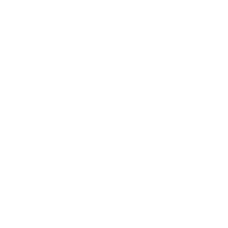 icons8 line-250